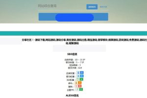 P20 网站站长综合seo查询工具源码