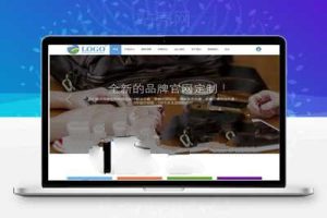 Discuz X3.2模板 高端企业公司官网 新春GBK商业版_源码下载