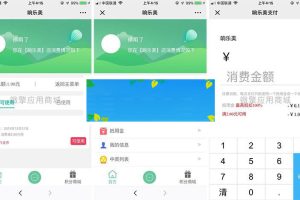 功能模块 皓舒支付营销V2.1.1 原版_源码下载