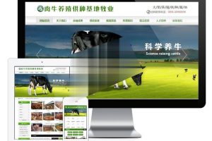 易优cms肉牛养殖供种基地牧业公司网站模板源码带手机端