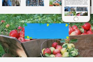 织梦dedecms响应式农业化学肥料冷鲜化肥公司网站模板(自适应手机移动端)