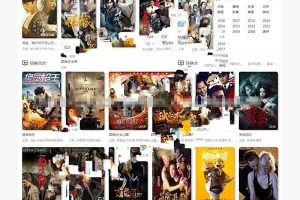 PHP品优MKCMS5.0(无错版)二次开发电影网站源码(全自动采集+会员VIP系统)