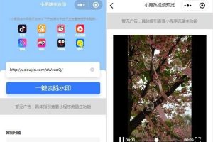 抖音去水印小程序源码独立版无后台