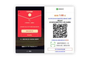 视频传输打赏主播系统软件源代码 连接fastpay付款 全开源系统无数据加密无受权