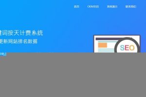 聚合SEO关键词按天自动扣费网站源码