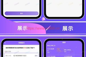 京东淘宝智能自动抢单系统源码V8版本 全开源