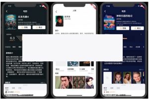 lutter豆瓣客户端源码 Awesome Flutter Project