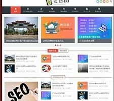 SEO优化技术教程网站源码 自适应手机端 织梦dedecms模板