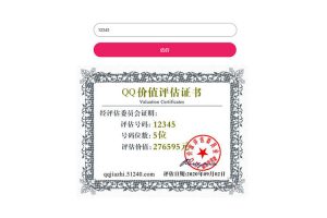 QQ号评估网站源码-ss