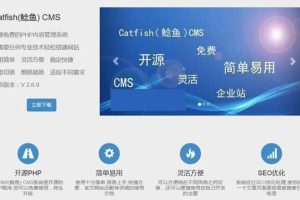 Catfish(鲶鱼)CMSv5.9.9-ss