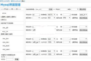 石头科技 – MYSQL管理工具 v200330