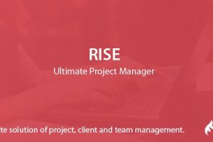 RISE–PHP项目管理源码 v2.4