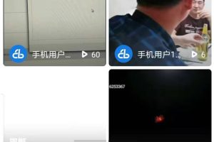 快手抖音短视频源码web+APP架设教程+完整数据完美运行