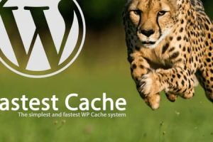 WP Fastest Cache Premium 1.7.0汉化中文版|WordPress全站生成html静态缓存加速优化插件
