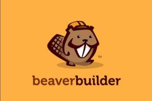 Beaver Builder Professional 2.7.2完美汉化中文版|网站页面设计自定义生成器WordPress插件