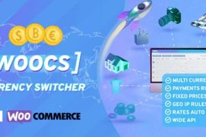 FOX（原WOOCS-WooCommerce Currency Switcher）2.4.1.1汉化中文版|WooCommerce货币切换器及多货币付款WordPress插件