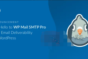 WP Mail SMTP Pro 3.9.0汉化中文版最流行的邮箱管理设置WordPress邮件发送插件