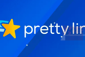 Pretty Links Pro 3.5.2完美汉化中文版|隐藏转化AFF联盟链接缩短链接插件