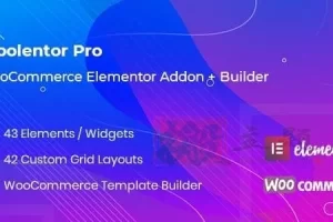 WooLentor Pro 2.2.4汉化中文版|WooCommerce自定义设计Elementor扩展小工具插件