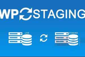 WP Staging Pro 5.0.2汉化中文版|测试一键复制克隆网站数据库WordPress插件