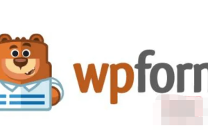 WPForms Pro 1.8.3.2合集中文汉化版|自定义拖放表单设计WordPress插件