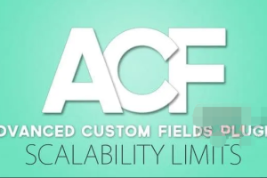 Advanced Custom Fields PRO 6.2.0汉化中文版|强大专业直观的字段自定义WordPress插件