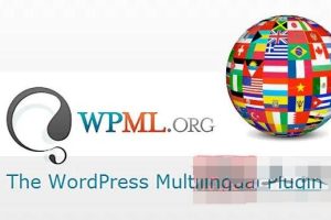 WPML Multilingual CMS 4.6.5汉化中文版合集|WordPress多国语言网页自动翻译插件