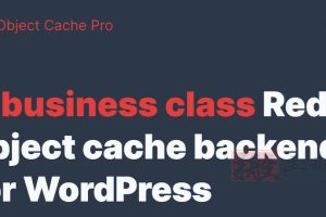 Redis Cache Pro 1.13.1专业版|高级对象缓存优化加速WordPress插件