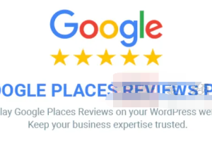 Google Places Reviews Pro 2.4.1汉化中文破解版|谷歌企业评论和评分WordPress插件