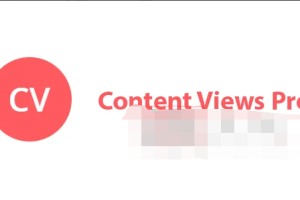 Content Views Pro 5.8.6.1汉化中文破解版|网格排版及自定义设计WordPress插件