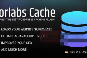 Borlabs Cache 1.6.3完美汉化中文破解版|WordPress轻量多功能缓存加速插件