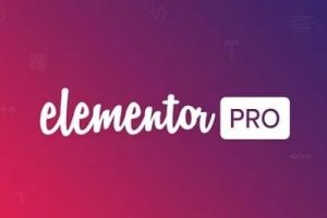 Elementor Pro 3.1.1+Elementor 3.1.4汉化中文破解版|页面拖动自定义设计WordPress插件
