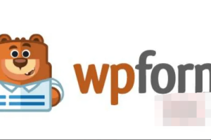 WPForms Pro 1.6.5.1中文汉化破解版|自定义拖放表单设计WordPress插件