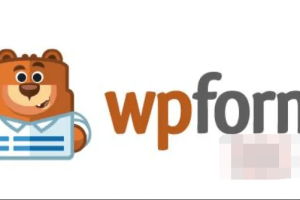 WPForms Pro 1.6.7中文汉化破解版|自定义拖放表单设计WordPress插件