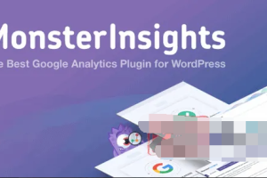 MonsterInsights Pro 7.15.0汉化中文破解版|WordPress最佳Google Analytics插件