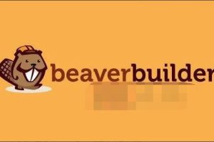 Beaver Builder Plugin Professional 2.4.2.2完美汉化中文破解版|页面自定义生成器WordPress插件