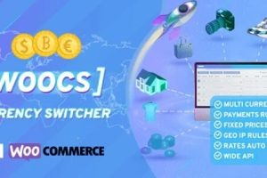 WOOCS-WooCommerce Currency Switcher 2.3.5汉化中文破解版|WooCommerce货币切换器及多货币付款WordPress插件