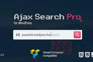 Ajax Search Pro 4.20.7汉化中文破解版|高效定制化WordPress搜索插件