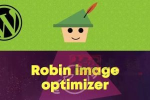 Webcraftic Robin image optimizer Pro 1.5.4汉化中文破解版|图片专业压缩优化加速WordPress插件