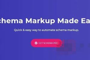 WP Schema Pro 2.3.0汉化中文破解版|模式标记自定义SEO WordPress插件