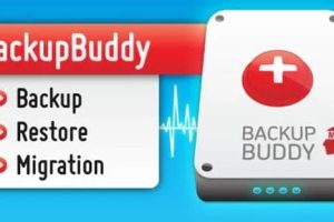 BackupBuddy 8.7.3.0汉化中文破解版|网站备份还原高级WordPress插件