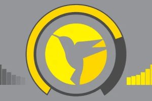Hummingbird Pro 2.7.3汉化中文破解版|WordPress网站速度优化缓存提升PageSpeed Insights排名插件
