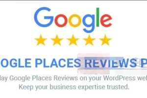 Google Places Reviews Pro 2.4.2汉化中文破解版|谷歌企业评论和评分WordPress插件