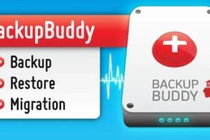 BackupBuddy 8.7.4.0汉化中文版|网站一键备份还原高级WordPress插件