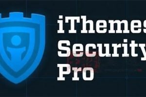 iThemes Security Pro 7.1.0汉化中文版|WordPress专业防火墙安全防护插件