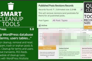Smart Cleanup Tools 5.0汉化中文破解版|数据库智能清理优化WordPress插件