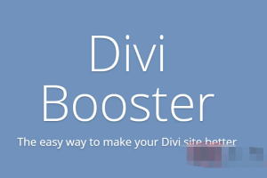 Divi Booster 3.6.8英文专业版|Divi主题模板功能改进自定义WordPress插件