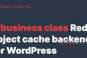 Redis Cache Pro 1.16.1专业版|高级对象缓存优化加速WordPress插件