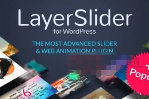 LayerSlider Premium 7.2.1完美汉化中文版（含模板）|在线可视化编辑高级幻灯片设计WordPress插件