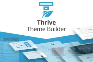 Thrive Theme Builder 3.16完美汉化中文版|完全个性化自定义设计WordPress高级主题模板